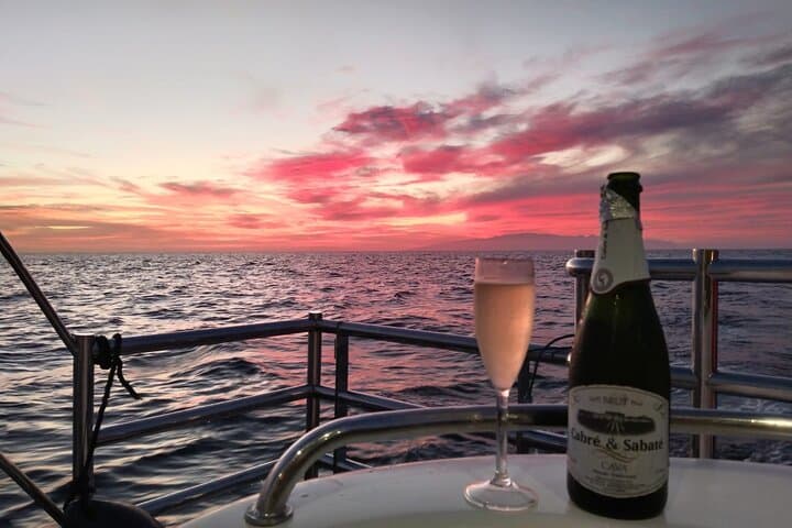 Tenerife Sunset Catamaran Tour - Food and Drinks Included