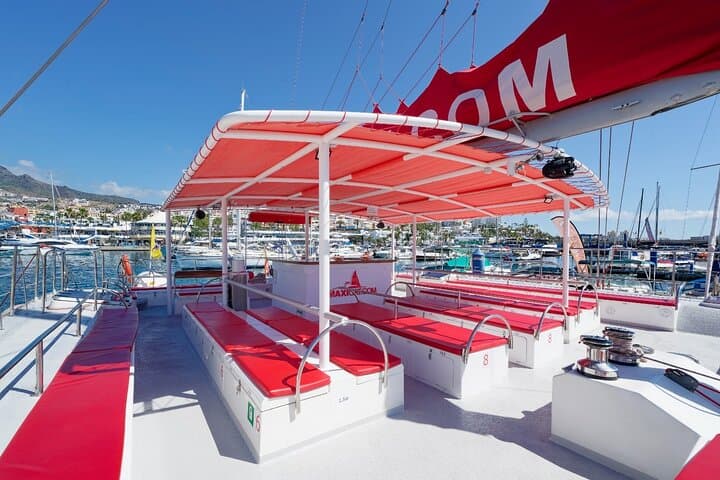 catamaran interior