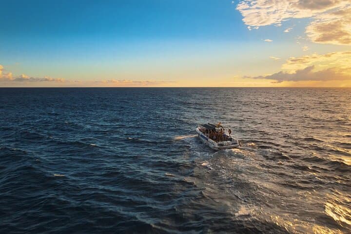 Private Charter 2 Hours Whale Watching Puerto Colon Adeje