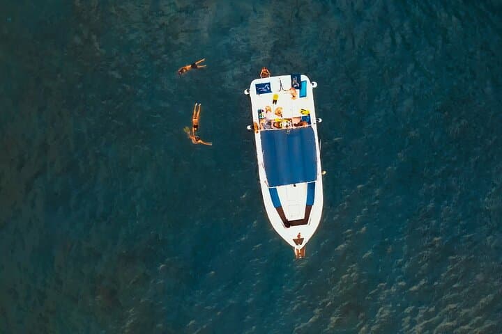 3-hour excursion to Puerto Colón Adeje to see whales
