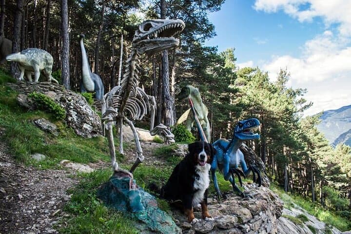 Full Day Private Tour in Andorra