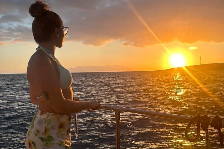 Whale and Dolphin Watching Catamaran with Transfer and Buffet