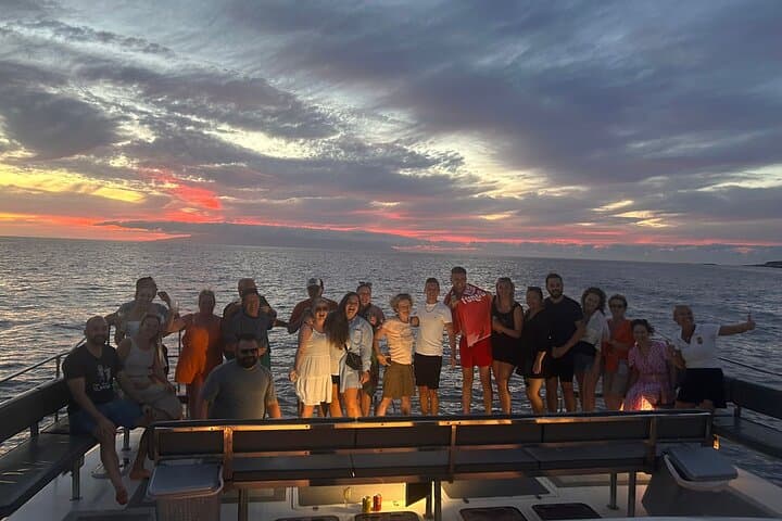 Whale and Dolphin Watching Catamaran with Transfer and Buffet