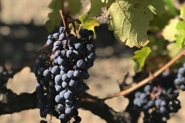 2 Days Wine Tasting Private Tour