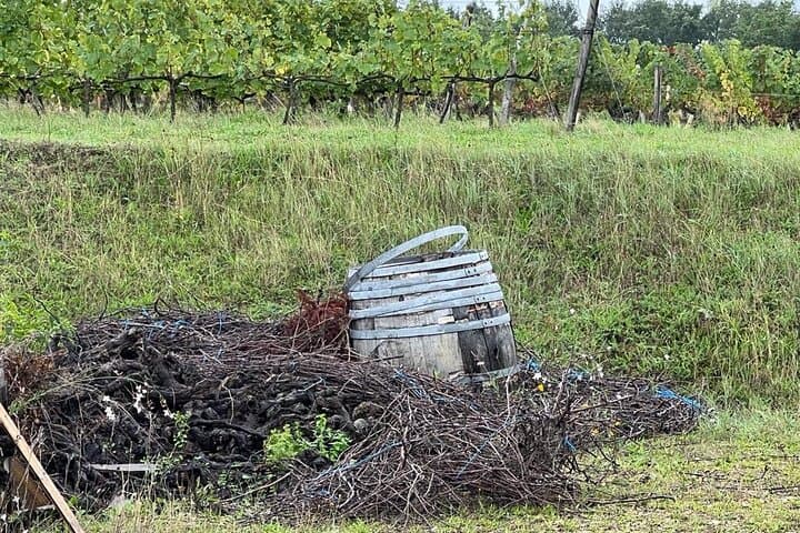 Loire Valley Vineyards