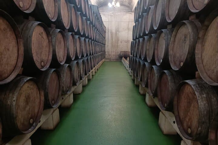 Full Rioja Wine Tour with Lunch from Bilbao - Private Tour