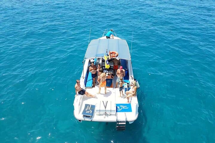 2 hour trip to see whales dolphins puerto colon adeje