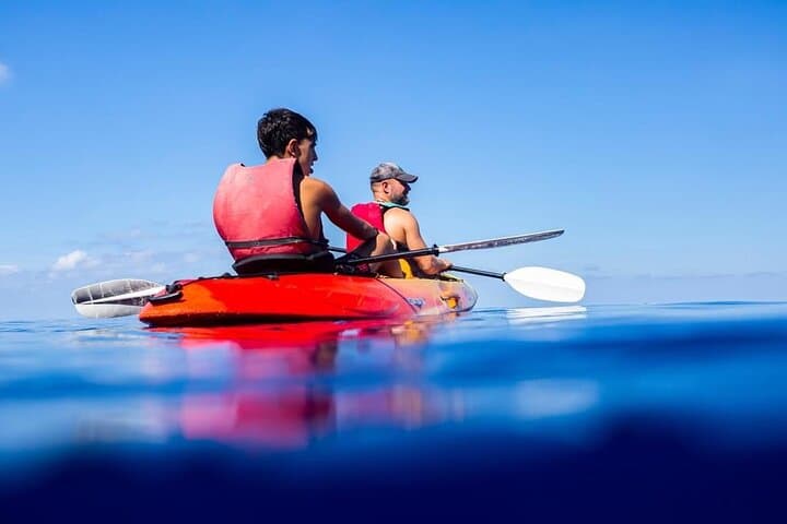 Guided Kayak Tour from Sant Elm to Sa Dragonera