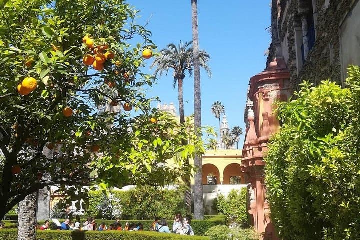 Explore the enchanting gardens of the Real Alcázar in Seville. After the tour, guests are welcome to linger and explore these picturesque gardens at their leisure, soaking in their tranquility.
