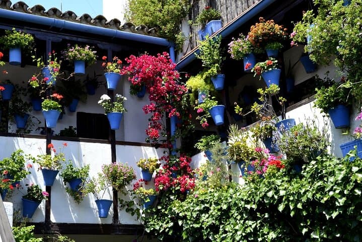 Cordoba Day Trip : A Journey Through History from Malaga