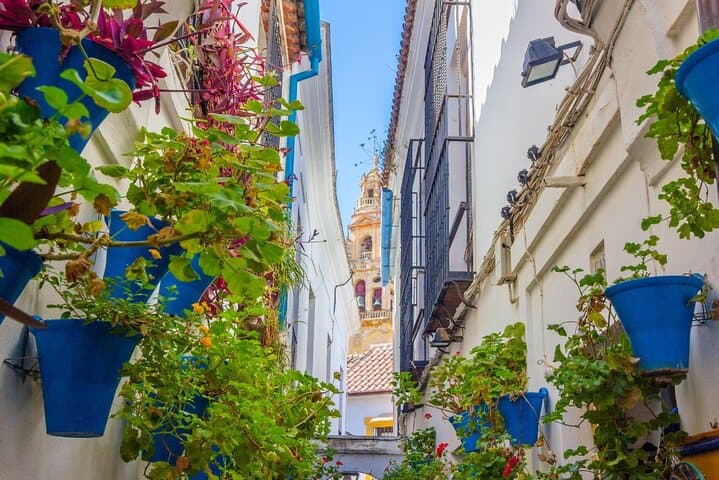 Guided Cordoba Tour with Mosque-Cathedral Access from Malaga