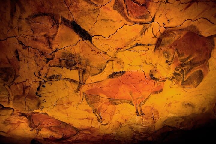 Neocave -Altamira Museum