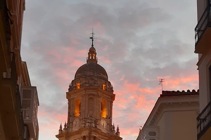Historic Malaga - Alcazaba, Cathedral, Picasso & Market Discovery