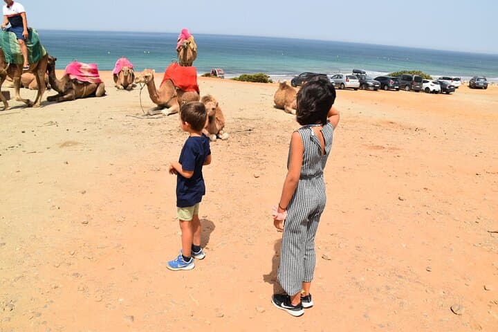 Tangier Private Tour from Malaga or Marbella w/ guide and driver