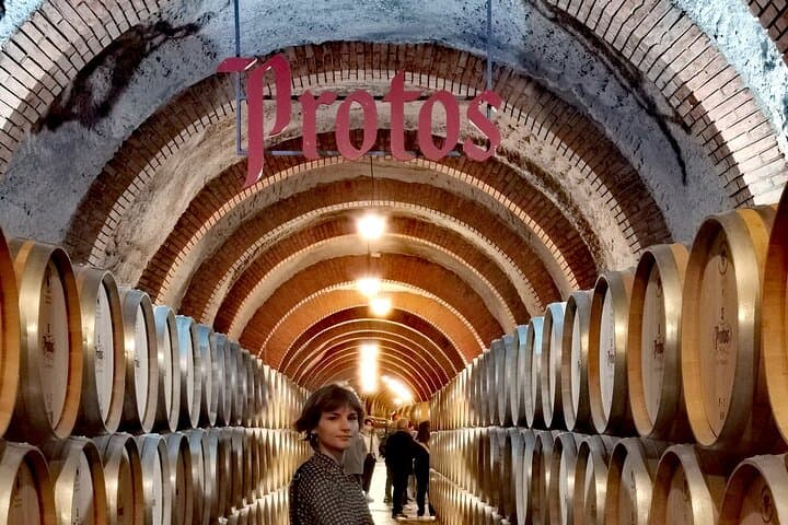 Premium Tour to Ribera del Duero with Wnologist Guide