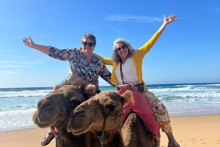 Tangier Luxury Private Guided Day Tour from Malaga All Inclusive