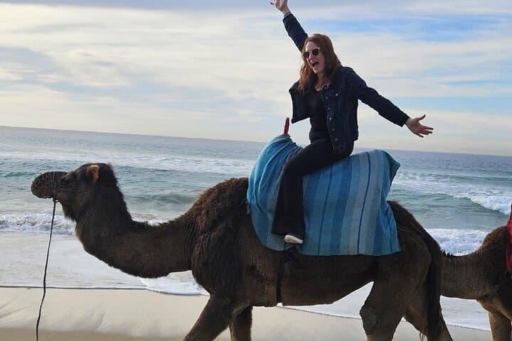 Tangier Luxury Private Guided Day Tour from Malaga All Inclusive