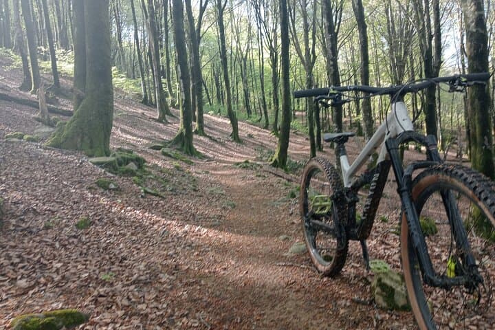 Mountain Bike Small Group Tour in San Sebastian