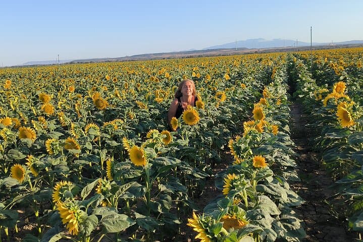 4x4 Tour: Tudela, Europe's Great Desert & Authentic Local Lunch