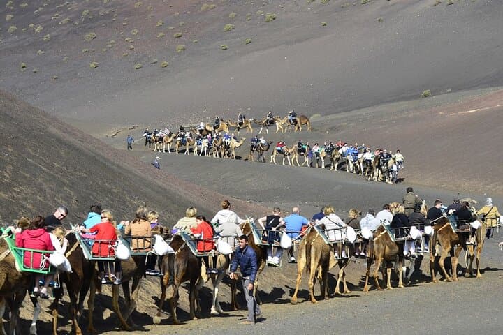 Optional Camel Ride at Timanfaya
