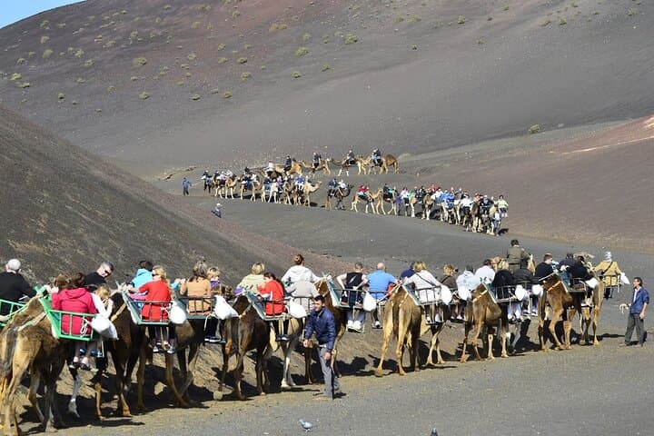 Camel Area at Timanfaya