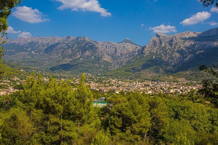 Mallorca: Exclusive Soller Train and Tram Half-Day Tour