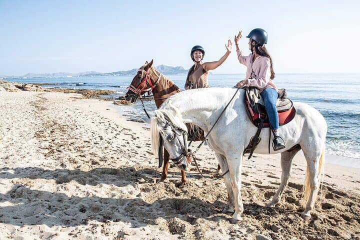3-Hour Beach Horse Riding to Discover the Beauty of Alcudia Bay
