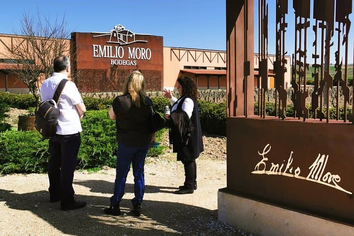 Premium Tour to Ribera del Duero with Wnologist Guide