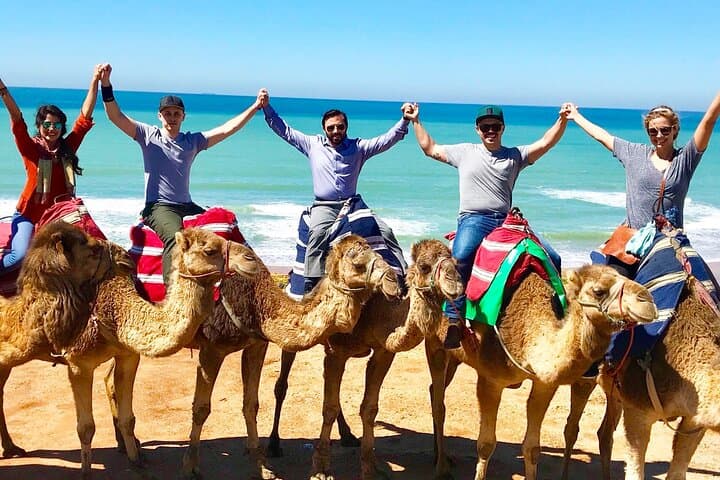 Camel Ride - Tangier Private Tour - Must do things in Tangier