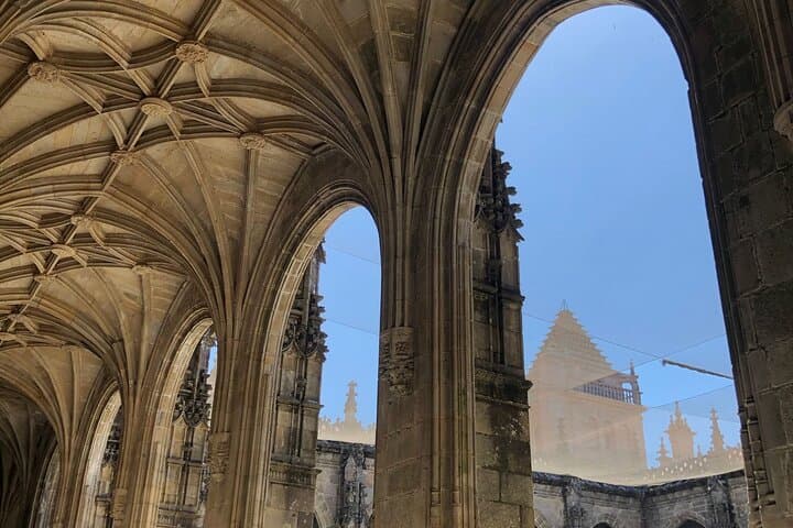 Visit to the Cathedral of Santiago with Roofs and Tower