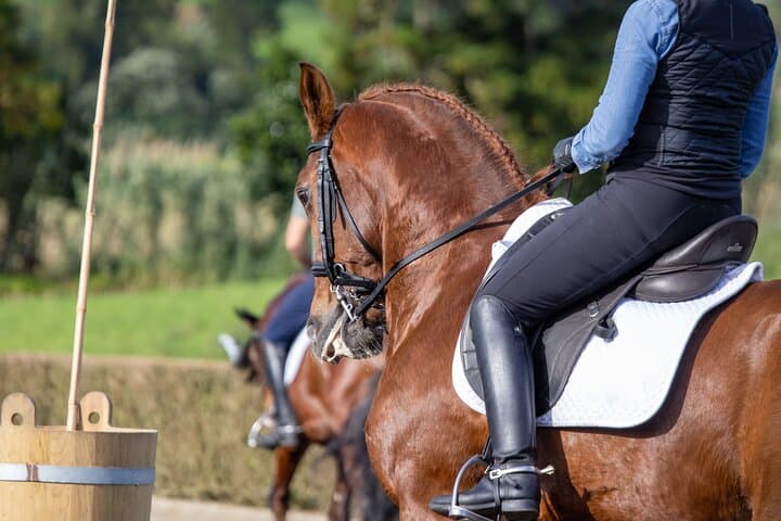 Guided tour of the stables of El Ranchito in Malaga