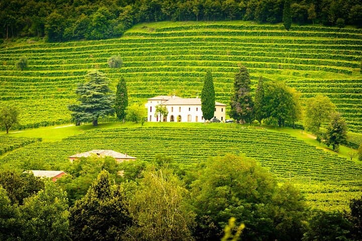 Private Ronda winery day trip from Granada
