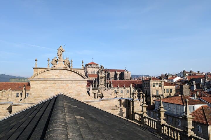 Visit to the Cathedral of Santiago with Roofs and Tower