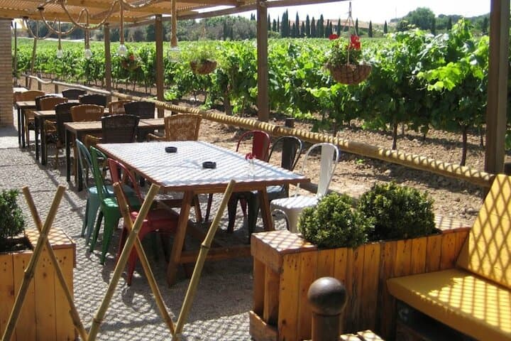 Enjoy a traditional lunch right in the middle of the vineyards