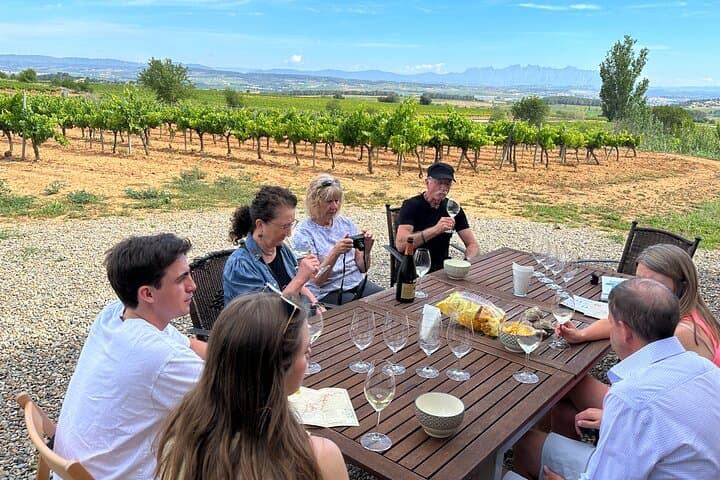 Wine Tasting in Three Boutique Wineries Tour - Max 8 people
