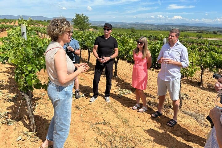 Wine Tasting in Three Boutique Wineries Tour - Max 8 people