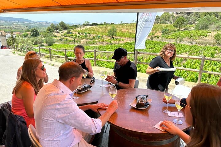 Wine Tasting in Three Boutique Wineries Tour - Max 8 people