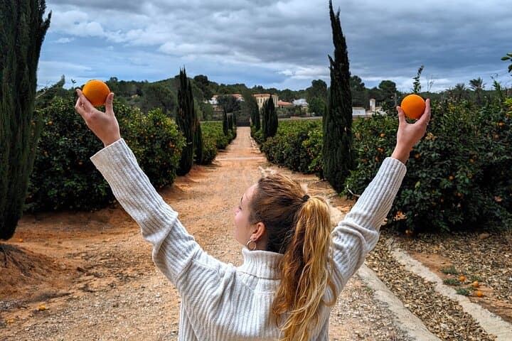 From Valencia: Orange Grove Experience + Transport & Tasting
