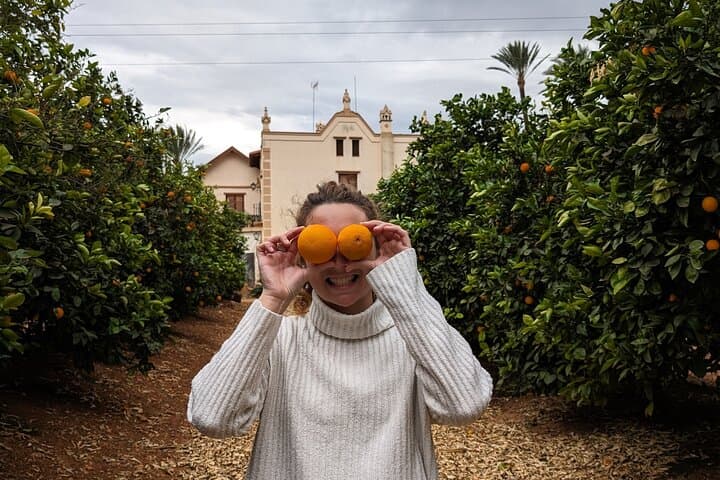 From Valencia: Orange Grove Experience + Transport & Tasting
