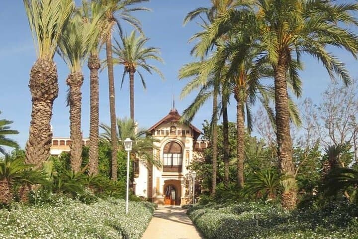 From Valencia: Orange Grove Experience + Transport & Tasting