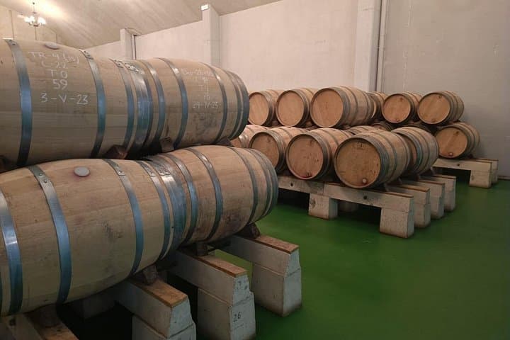 Private Rioja Wine Tour from San Sebastián & Laguardia Village