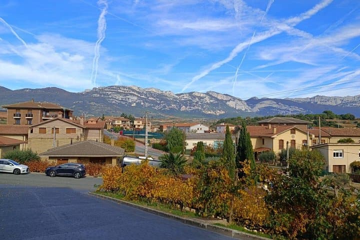 Private Rioja Wine Tour from San Sebastián & Laguardia Village