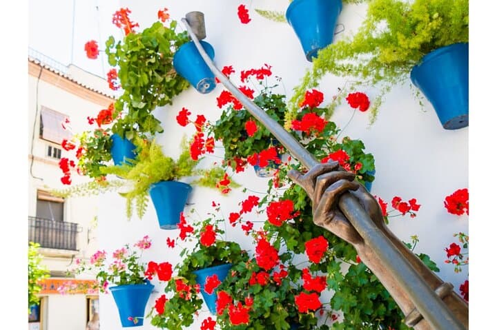 Cordoba's Authentic Patios: 2-Hour Tour with Tickets