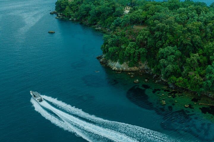 Private Half Day Cruise on a Speed Boat in Mallorca