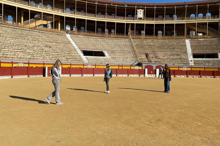 Alicante: Visit with Audio Guide Bullring and Bullfighting Museum