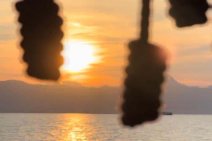 3-hour boat trip at sunset in the bay of Palma