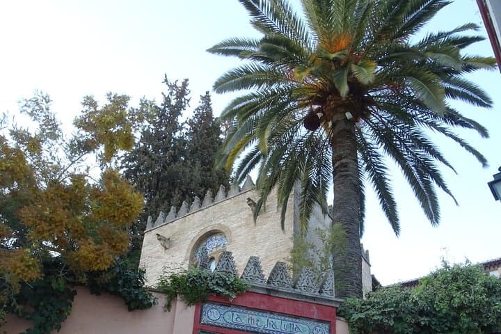 Fascinating discovery of Albaicín and the Gypsy quarter of Sacromonte