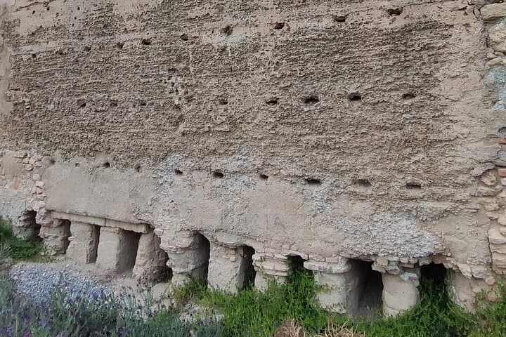 Jayran Wall