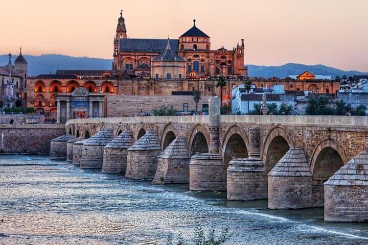 Cordoba Patios Private Walking Tour With A guide