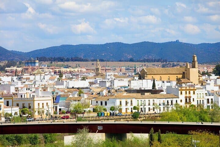 Cordoba Patios Private Walking Tour With A guide